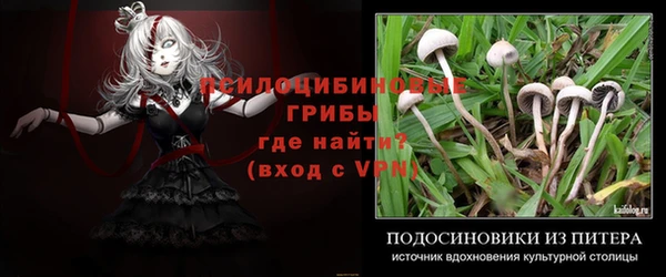 спиды Алексеевка